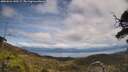 ./images/calvert/fitz-hugh-hecate/20250522/fitz-hugh-hecate20250522_140507M.jpg