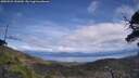 ./images/calvert/fitz-hugh-hecate/20250522/fitz-hugh-hecate20250522_141010M.jpg