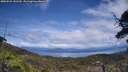 ./images/calvert/fitz-hugh-hecate/20250522/fitz-hugh-hecate20250522_141510M.jpg