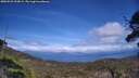 ./images/calvert/fitz-hugh-hecate/20250522/fitz-hugh-hecate20250522_153009M.jpg