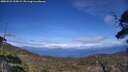 ./images/calvert/fitz-hugh-hecate/20250522/fitz-hugh-hecate20250522_155009M.jpg