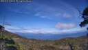 ./images/calvert/fitz-hugh-hecate/20250522/fitz-hugh-hecate20250522_160508M.jpg