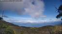 ./images/calvert/fitz-hugh-hecate/20250522/fitz-hugh-hecate20250522_165509M.jpg