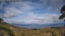 ./images/calvert/fitz-hugh-hecate/20250522/fitz-hugh-hecate20250522_180011M.jpg