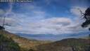./images/calvert/fitz-hugh-hecate/20250522/fitz-hugh-hecate20250522_180509M.jpg