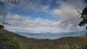 ./images/calvert/fitz-hugh-hecate/20250522/fitz-hugh-hecate20250522_181510M.jpg