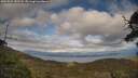./images/calvert/fitz-hugh-hecate/20250522/fitz-hugh-hecate20250522_182508M.jpg