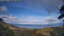 ./images/calvert/fitz-hugh-hecate/20250522/fitz-hugh-hecate20250522_184010M.jpg