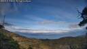 ./images/calvert/fitz-hugh-hecate/20250522/fitz-hugh-hecate20250522_190008M.jpg