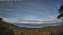 ./images/calvert/fitz-hugh-hecate/20250522/fitz-hugh-hecate20250522_192508M.jpg