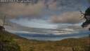 ./images/calvert/fitz-hugh-hecate/20250522/fitz-hugh-hecate20250522_194508M.jpg
