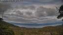 ./images/calvert/fitz-hugh-hecate/20250522/fitz-hugh-hecate20250522_201008M.jpg