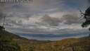 ./images/calvert/fitz-hugh-hecate/20250522/fitz-hugh-hecate20250522_201508M.jpg