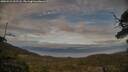 ./images/calvert/fitz-hugh-hecate/20250522/fitz-hugh-hecate20250522_202508M.jpg