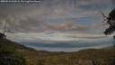 ./images/calvert/fitz-hugh-hecate/20250522/fitz-hugh-hecate20250522_203008M.jpg