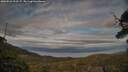 ./images/calvert/fitz-hugh-hecate/20250522/fitz-hugh-hecate20250522_203507M.jpg