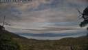 ./images/calvert/fitz-hugh-hecate/20250522/fitz-hugh-hecate20250522_204008M.jpg