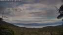 ./images/calvert/fitz-hugh-hecate/20250522/fitz-hugh-hecate20250522_204508M.jpg