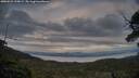 ./images/calvert/fitz-hugh-hecate/20250522/fitz-hugh-hecate20250522_210009M.jpg