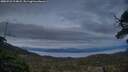 ./images/calvert/fitz-hugh-hecate/20250522/fitz-hugh-hecate20250522_214008M.jpg