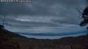 ./images/calvert/fitz-hugh-hecate/20250522/fitz-hugh-hecate20250522_220008M.jpg