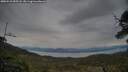 ./images/calvert/fitz-hugh-hecate/20250523/fitz-hugh-hecate20250523_055508M.jpg