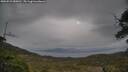 ./images/calvert/fitz-hugh-hecate/20250523/fitz-hugh-hecate20250523_080011M.jpg