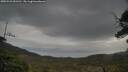 ./images/calvert/fitz-hugh-hecate/20250523/fitz-hugh-hecate20250523_091510M.jpg