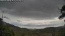 ./images/calvert/fitz-hugh-hecate/20250523/fitz-hugh-hecate20250523_100009M.jpg