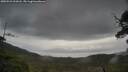 ./images/calvert/fitz-hugh-hecate/20250523/fitz-hugh-hecate20250523_101007M.jpg