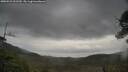 ./images/calvert/fitz-hugh-hecate/20250523/fitz-hugh-hecate20250523_101509M.jpg