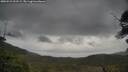 ./images/calvert/fitz-hugh-hecate/20250523/fitz-hugh-hecate20250523_102508M.jpg