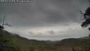 ./images/calvert/fitz-hugh-hecate/20250523/fitz-hugh-hecate20250523_103510M.jpg
