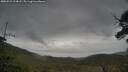 ./images/calvert/fitz-hugh-hecate/20250523/fitz-hugh-hecate20250523_104008M.jpg