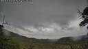 ./images/calvert/fitz-hugh-hecate/20250523/fitz-hugh-hecate20250523_104510M.jpg