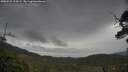 ./images/calvert/fitz-hugh-hecate/20250523/fitz-hugh-hecate20250523_110509M.jpg
