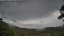 ./images/calvert/fitz-hugh-hecate/20250523/fitz-hugh-hecate20250523_111009M.jpg
