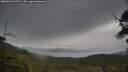 ./images/calvert/fitz-hugh-hecate/20250523/fitz-hugh-hecate20250523_112508M.jpg