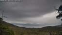 ./images/calvert/fitz-hugh-hecate/20250523/fitz-hugh-hecate20250523_113510M.jpg