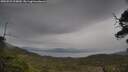 ./images/calvert/fitz-hugh-hecate/20250523/fitz-hugh-hecate20250523_115010M.jpg