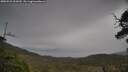 ./images/calvert/fitz-hugh-hecate/20250523/fitz-hugh-hecate20250523_120510M.jpg