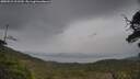 ./images/calvert/fitz-hugh-hecate/20250523/fitz-hugh-hecate20250523_122510M.jpg
