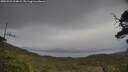 ./images/calvert/fitz-hugh-hecate/20250523/fitz-hugh-hecate20250523_124008M.jpg
