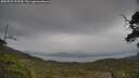 ./images/calvert/fitz-hugh-hecate/20250523/fitz-hugh-hecate20250523_124510M.jpg