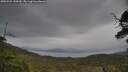 ./images/calvert/fitz-hugh-hecate/20250523/fitz-hugh-hecate20250523_130510M.jpg