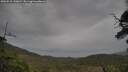 ./images/calvert/fitz-hugh-hecate/20250523/fitz-hugh-hecate20250523_140011M.jpg