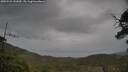 ./images/calvert/fitz-hugh-hecate/20250523/fitz-hugh-hecate20250523_141009M.jpg