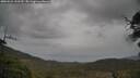 ./images/calvert/fitz-hugh-hecate/20250523/fitz-hugh-hecate20250523_142510M.jpg