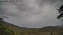 ./images/calvert/fitz-hugh-hecate/20250523/fitz-hugh-hecate20250523_143010M.jpg