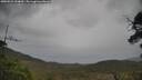 ./images/calvert/fitz-hugh-hecate/20250523/fitz-hugh-hecate20250523_144010M.jpg